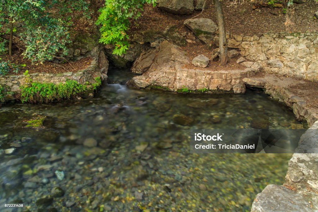 Comal Springs In Landa Park New Braunfels Texas Stock Photo Download