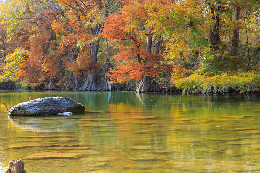 spring by the river