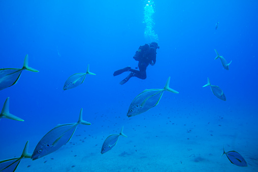 norkeling, Snorkel, Underwater Diving