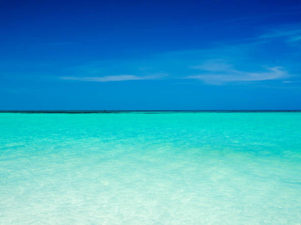 istock Cayo Largo beach at Cuba the 07/11/2017 872232338