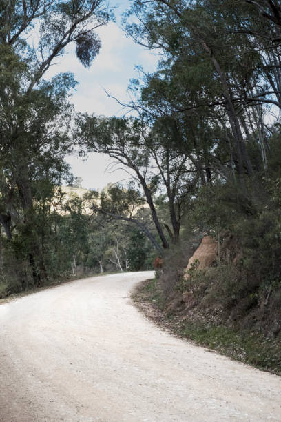 istock Australian unsealed country road 872235046