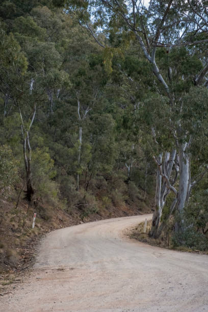 istock Australian unsealed country road 872235200