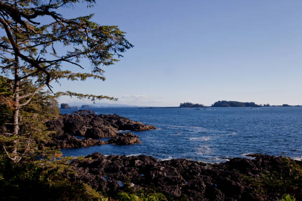 istock Ocean View along the Wild Pacific Trail 872243020