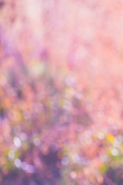 istock Abstract Nature Background With Bright & Colorful Bokeh 872243900