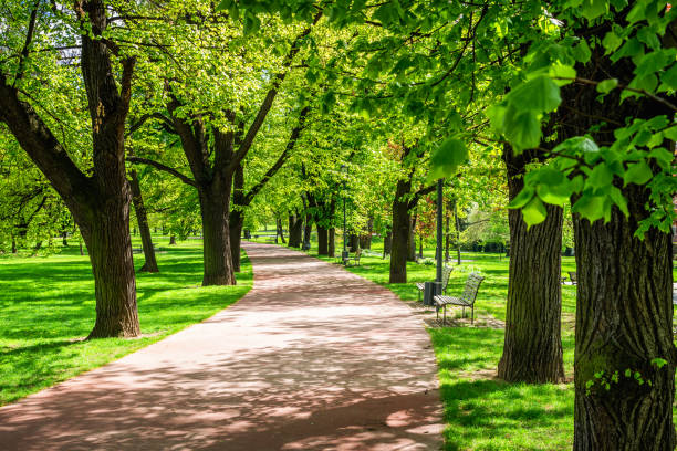 istock View on green path with trees through fields in Prague, Czech Republic 872246912
