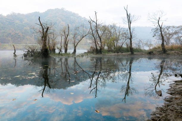 istock reflection of lake 872249876