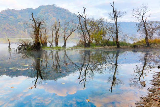 istock reflection of lake 872249916