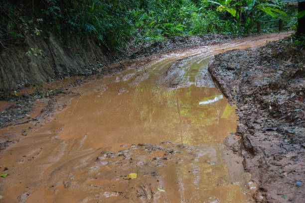 istock Tire tracks on a muddy road. 872253672