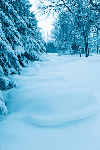 istock Snowdrifts After Blizzard 872263440