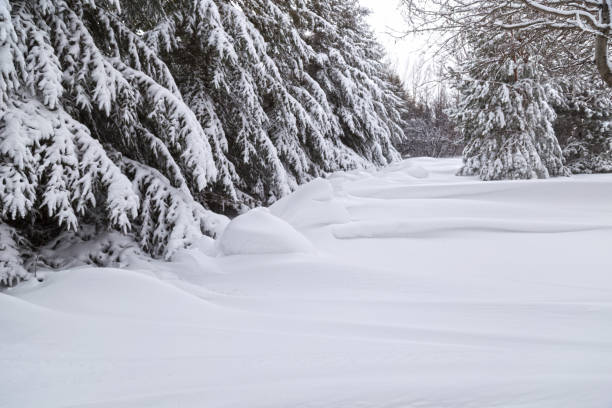 istock Snowdrifts After Blizzard 872263470