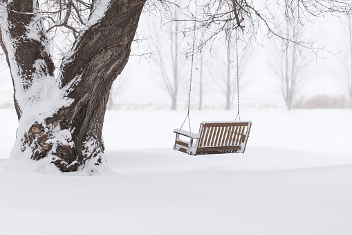 A wood bench style swing hangs on a large tree in a snowy winter garden.