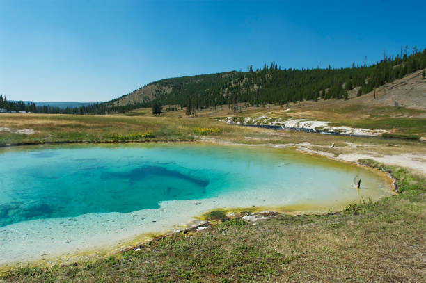 Norris Basin Geysers Active Volcano, Caldera, Famous Place, Geyser, Hot Spring norris geyser basin photos stock pictures, royalty-free photos & images