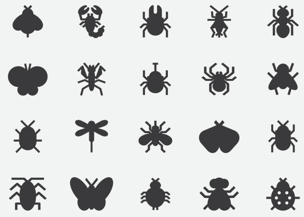 ilustraciones, imágenes clip art, dibujos animados e iconos de stock de iconos de silueta negra de insectos y bichos - insecto