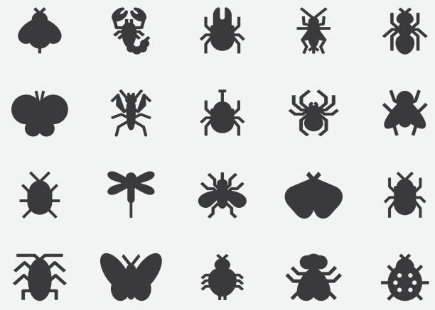 stockillustraties, clipart, cartoons en iconen met insecten en insecten zwarte silhouet pictogrammen - insect