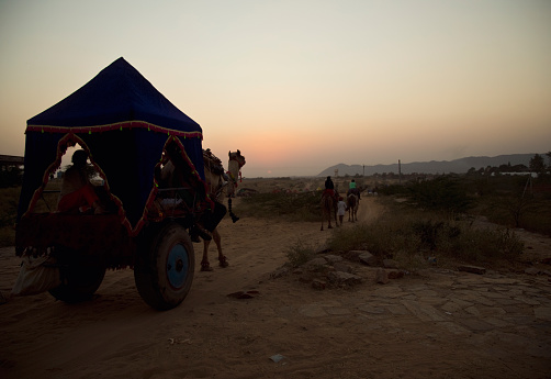 Camel riders and camel cart at Pushkar Camel Fair Rajasthan