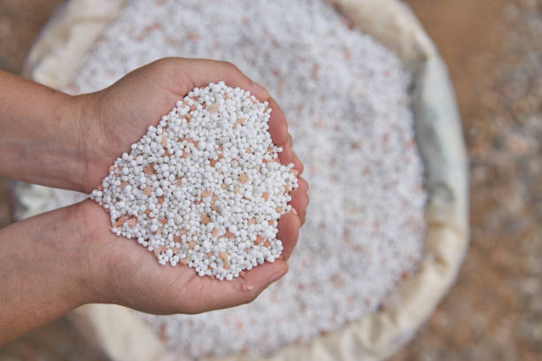 istock close up chemical Fertilizer in sacks 872279282