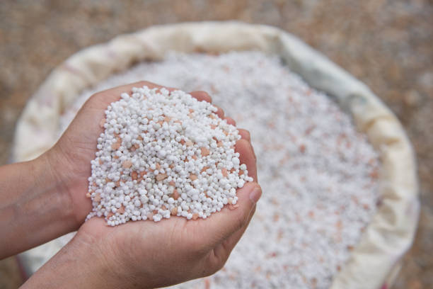 istock close up chemical Fertilizer in sacks 872279298