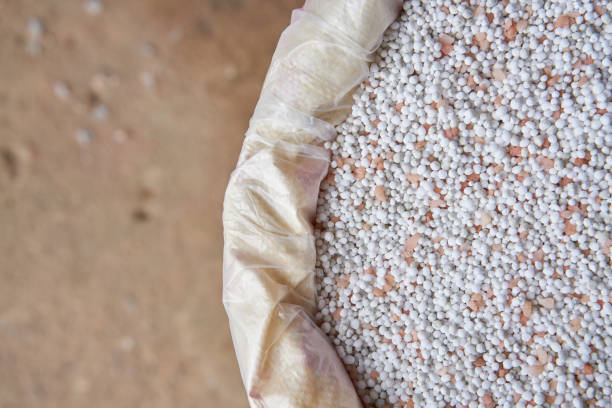 istock close up chemical Fertilizer in sacks 872279764