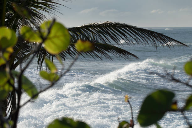 istock Scenic Puerto Rico 872281550