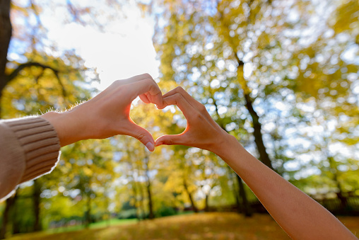 Couple making hand heart sign together towards the sky with scenic tall autumn trees and sun rays beaming through the leaves horizontal shot