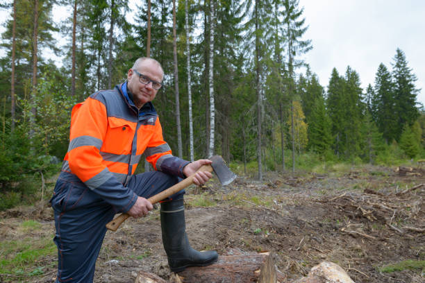 istock Mature handsome man working and felling trees in the forest 872288720