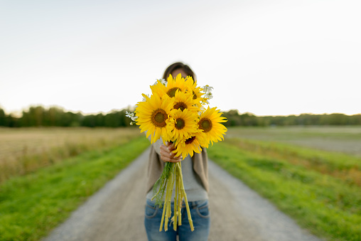 Young woman giving sunflowers with peaceful scenery of grass field