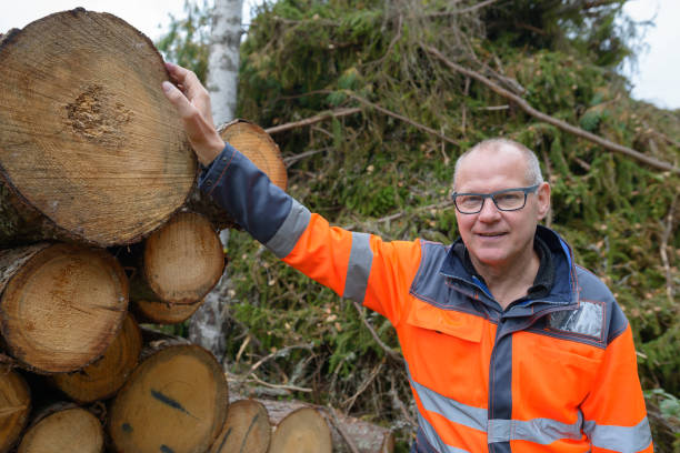 istock Mature handsome man working and felling trees in the forest 872289078