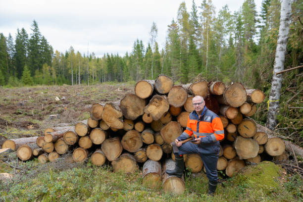 istock Mature handsome man working and felling trees in the forest 872289086