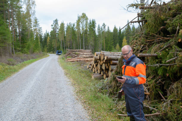 istock Mature handsome man working and felling trees in the forest 872289140