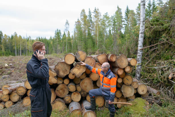 istock Mature man and young man working together in the forest 872289148