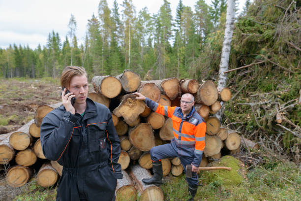 istock Mature man and young man working together in the forest 872289156