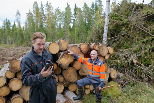 Mature man and young man working together in the forest
