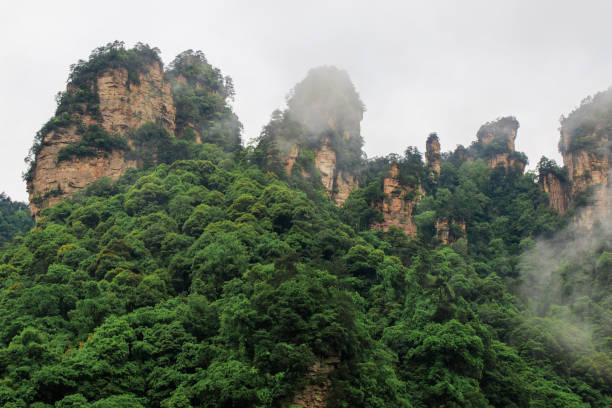 istock Huge Rock Mountains Surrounded by Green Trees and White Mist Clouds. Epic Mountain Landscape 872289536