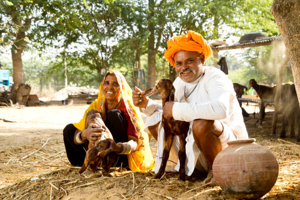istock Mature Indian couple holding small goats 872295236