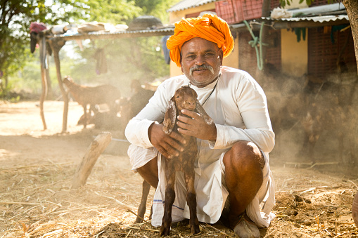 Portrait of Indian man with goat at village