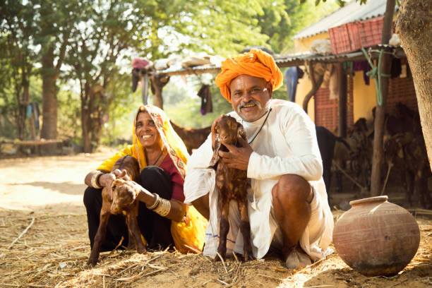 istock Mature Indian couple holding small goats 872298398
