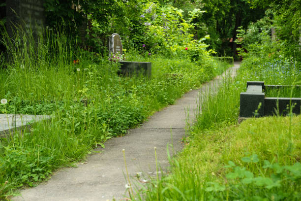istock Path in Novodevichy cemetery in Moscow, Russia 872304932