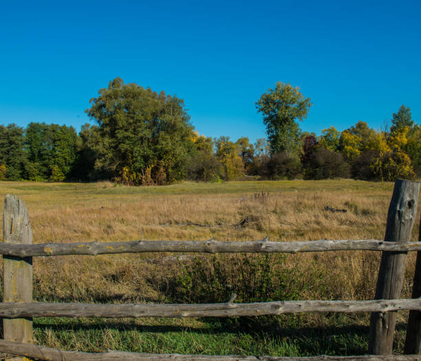 istock old wooden fence 872309340