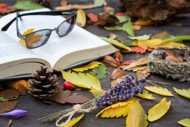 istock Old books among the autumn leaves under soft sunlight 872309986