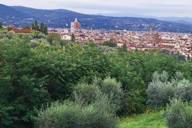 istock Aerial view of Florence 872312338