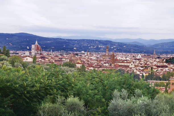 istock Aerial view of Florence 872312726