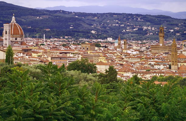 istock Aerial view of Florence 872312778