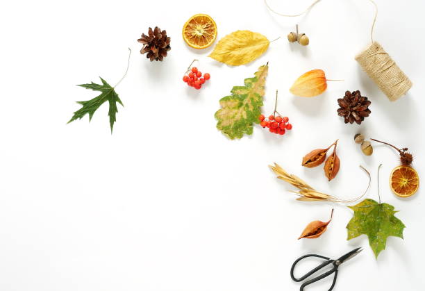 istock Autumn composition. Frame made of autumn maple tree leaves on white background 872313214