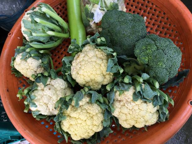 istock Brassica oleracea flower 872313366