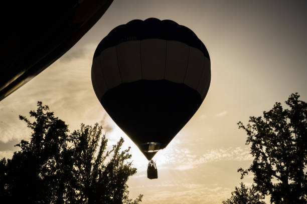 A vibrant colorful hot air balloon soaring high in a clear blue sky, framed by lush green tree branches. This dreamy summer scene captures the beauty of outdoor adventures, travel, and leisure activities. Perfect for themes related to exploration, tourism, freedom, and nature.
