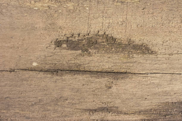 istock Wood texture of a table 872315624