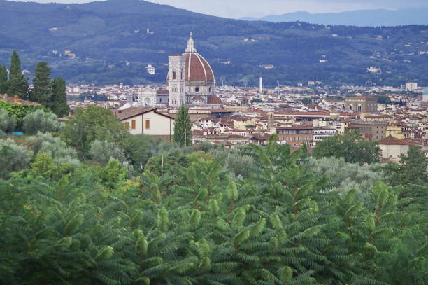 istock Aerial view of Florence 872315958