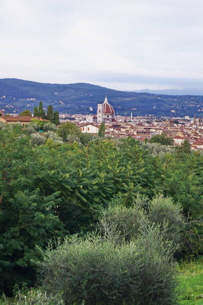 istock Aerial view of Florence 872317128