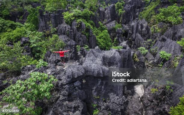 The Forest Of Rock In Rammangrammang Sulawesi Stock Photo - Download Image Now