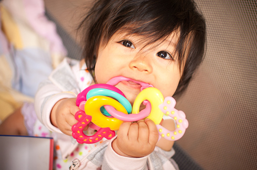 An 8 month old baby girl has sore gums, and is chewing on a colorful silicone / plastic teething ring. She's of Eurasian ethnicity.